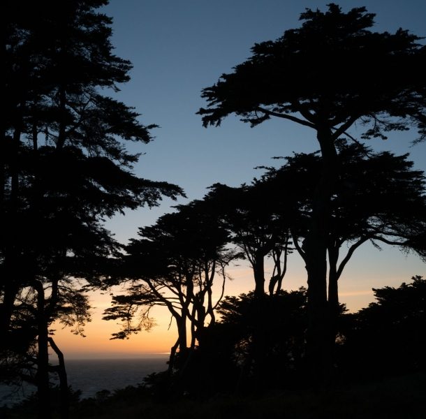 Land’s End San Francisco